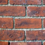 brick wall web