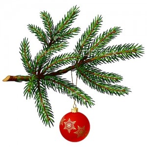 pine_tree_christmas_ball_xmas_christmas_christmas_tree-501227717